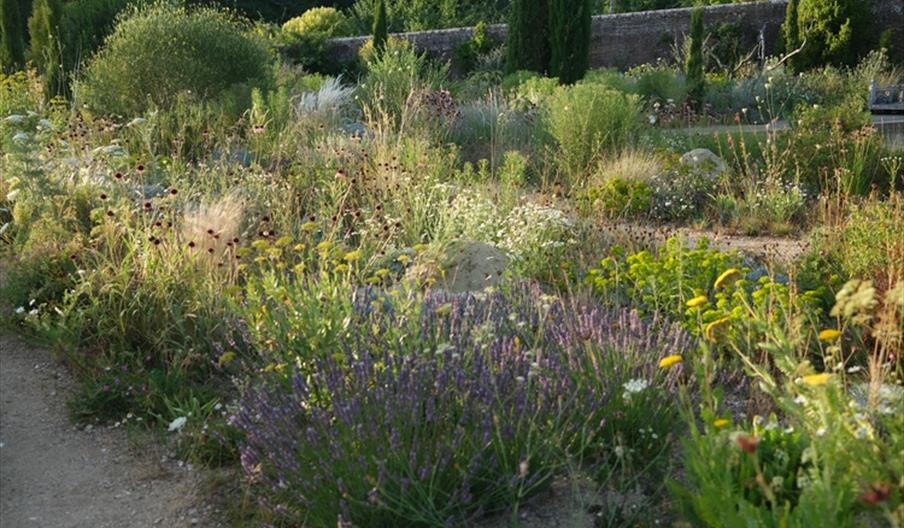 A Garden of Incredible Insects with Erica McAlister