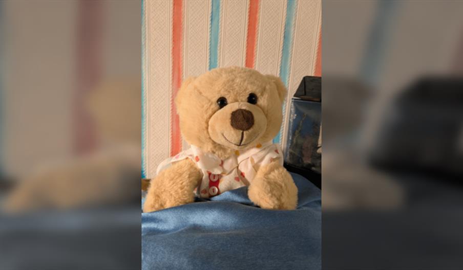 Teddy's Dream