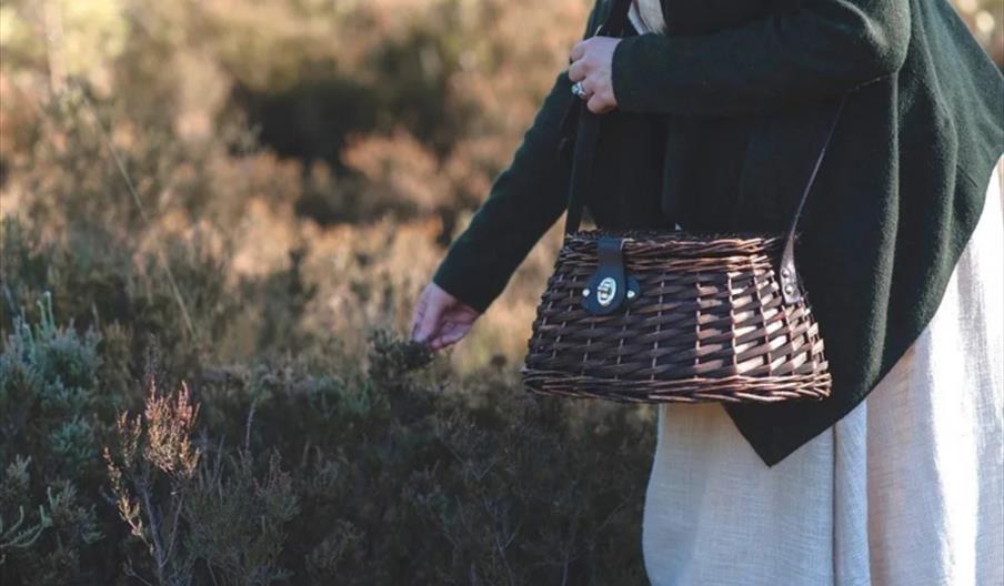 Foraging Walks