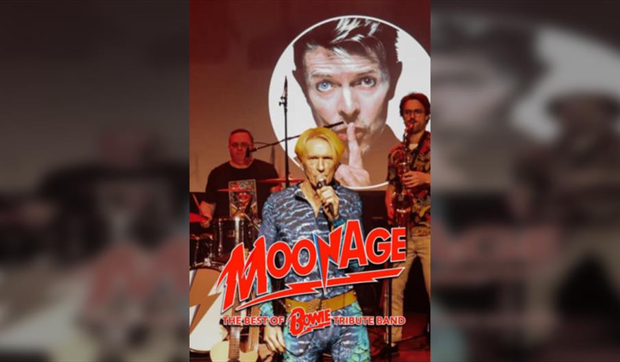 Moonage - The Best of Bowie