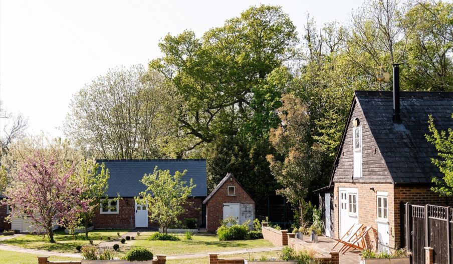 View of cottages from the front with trees behind the houses