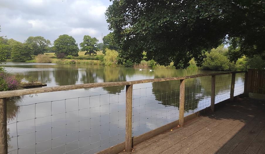 The lake