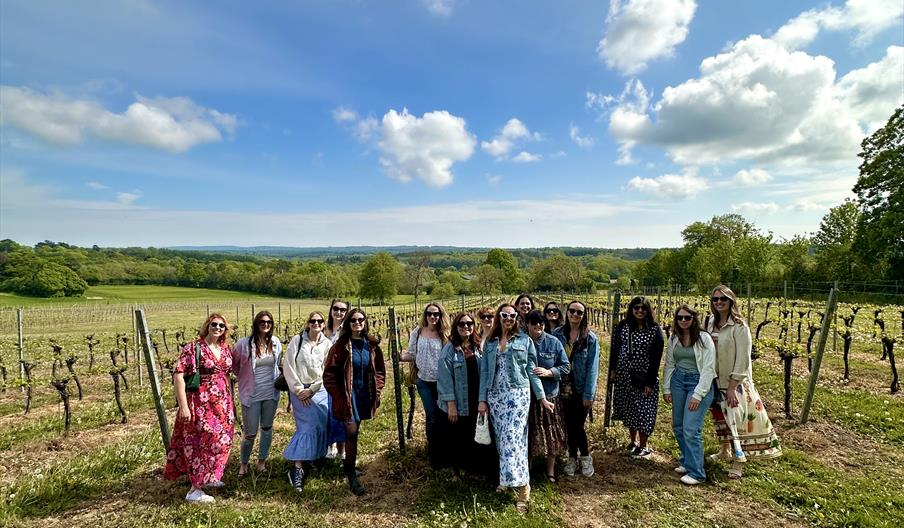 Sussex Wine Tour