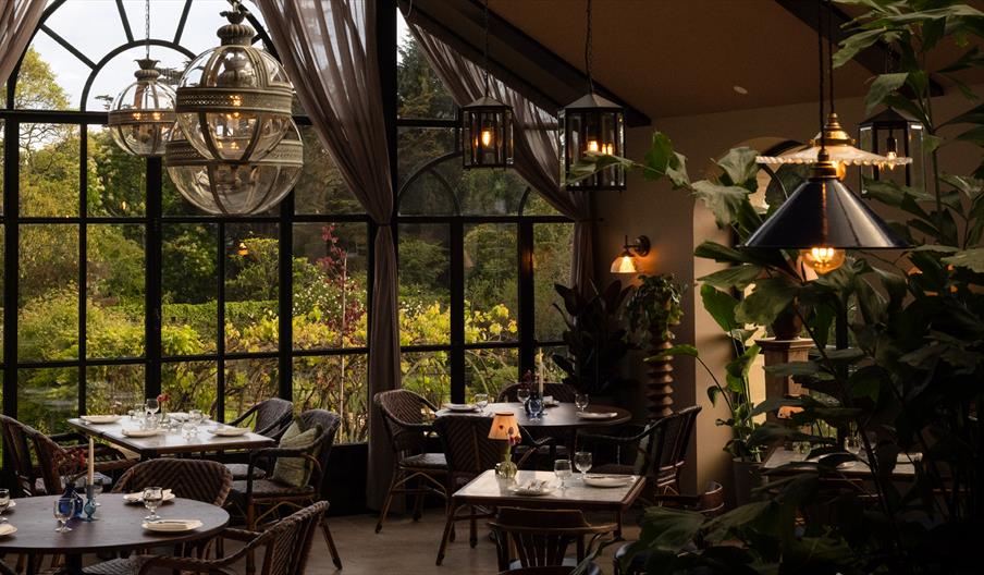 table in front of a glassed wall - with a view of trees and greenery