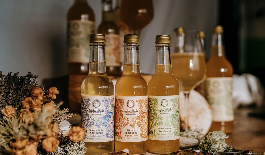 Old Tree Brewery Kombucha in glass bottles