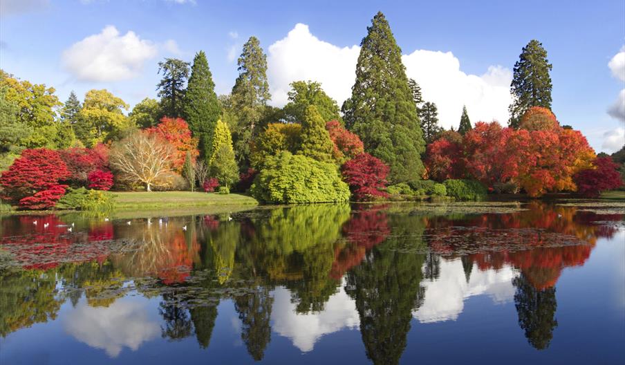 Autumn colour reflected in the lake at Sheffield Park and Garden
