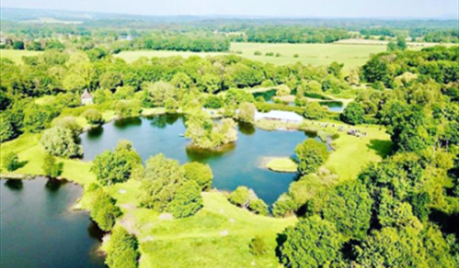 Aerial view of duncton mill lake showing a green landscape with trees around the water