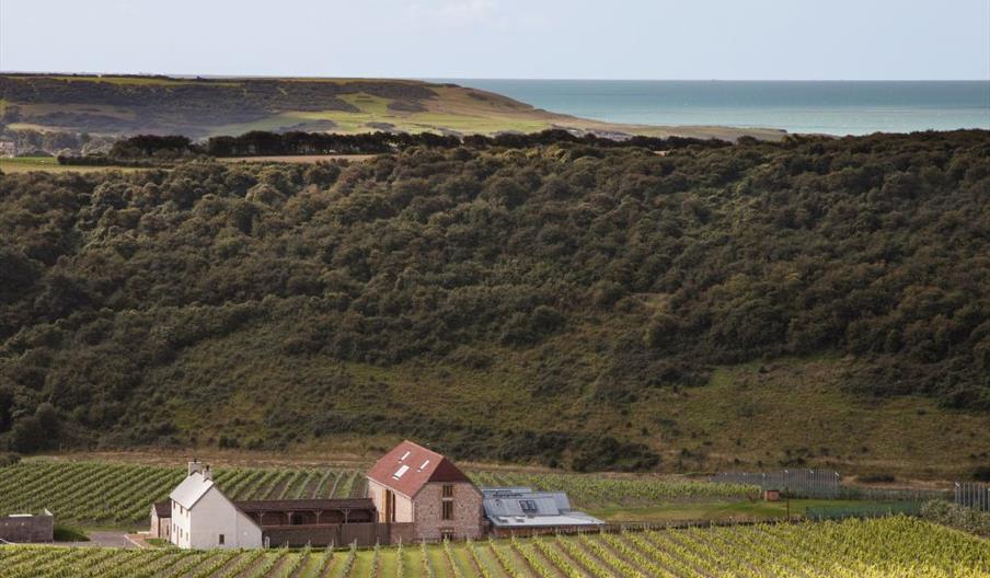 Flint Barns Bed and Breakfast in the South Downs with vineyard views