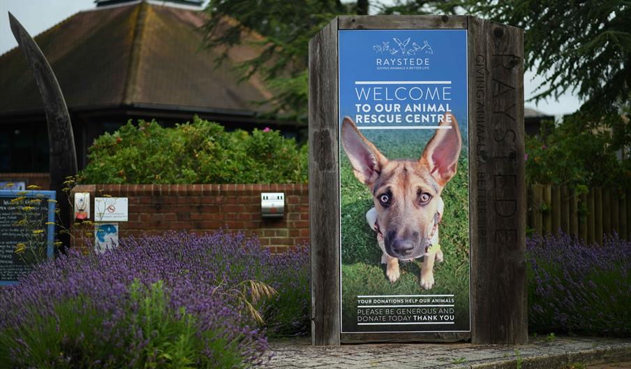 Raystede entrance sign and flower bed border