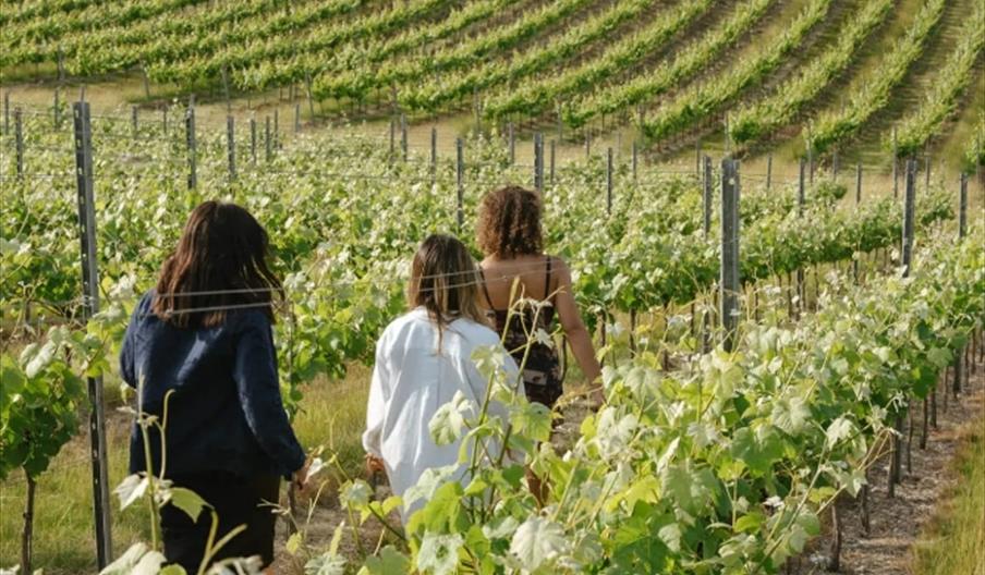 three people walking on a vineyard tour