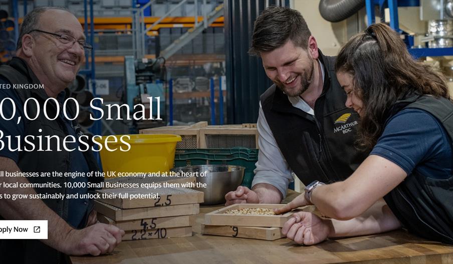 two people looking like they are working on something