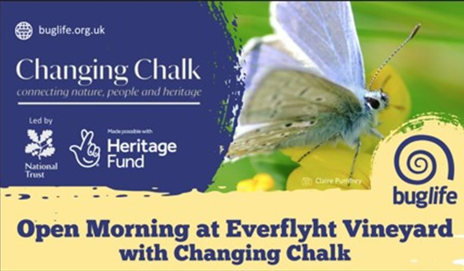 graphic saying open morning
