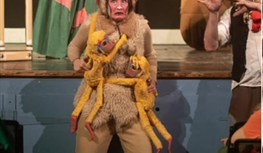 actors dressed as animals