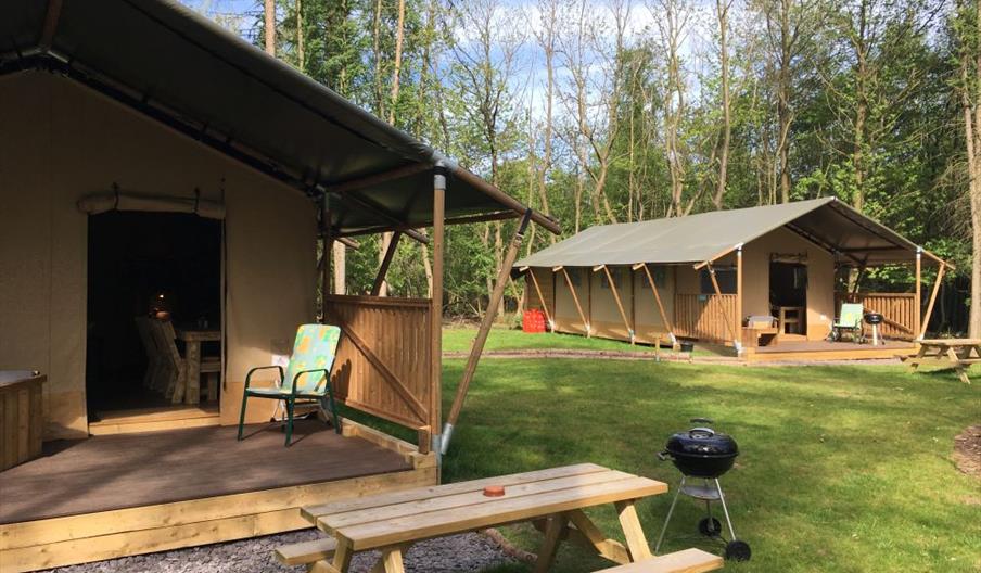 Worth Forest Glamping