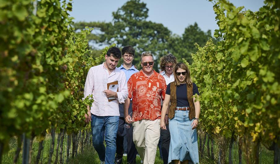five people walking through the vines