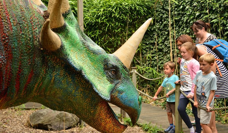 Adults and children enjoying looking at an enormous triceratops with a big horn and beak-like mouth