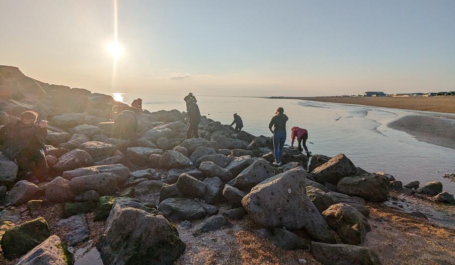 Sunset with group exploring the rocks and pools at low water.