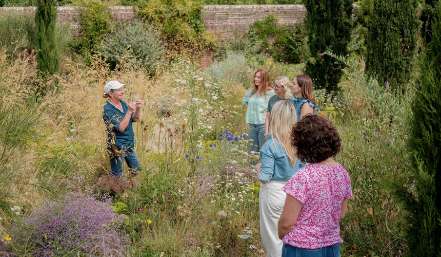 Knepp Rewilded Walled Garden