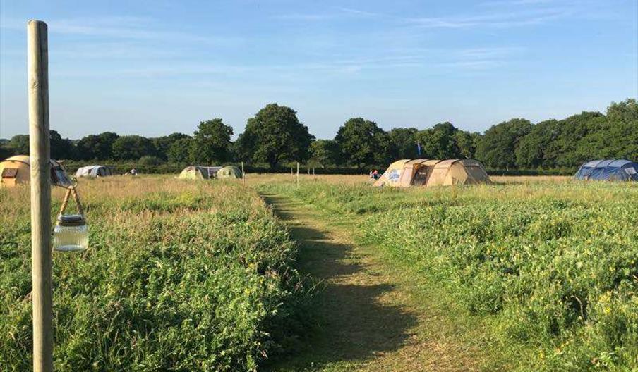 Barn owl field with tents and a line of trees in the distance
