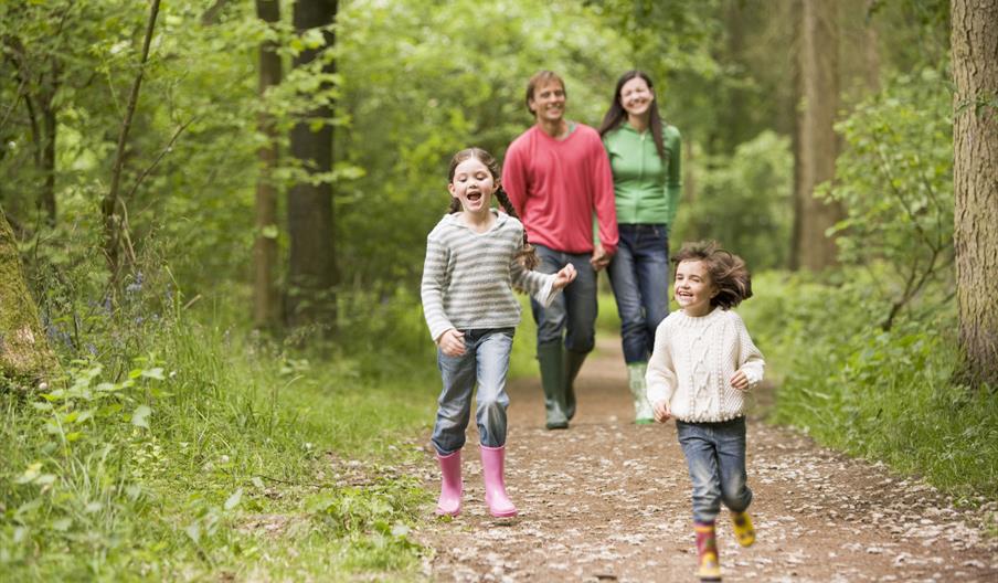 a family walking on the trail through woodland
