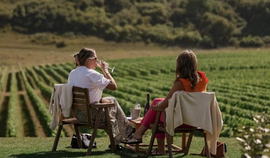 outdoor dining two people seated over looking the vines