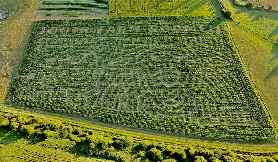 Aerial view of the seven-acre maize maze at South Farm Rodmell near Lewes, East Sussex, with the farm name and 2026 two sheep heads design cut into th