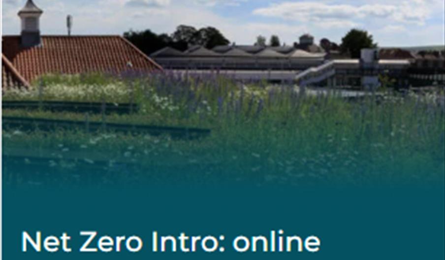 Urban landscape with wild flowers in the forground and the wordking Net Zero Intro - online 30 January 0930-1230