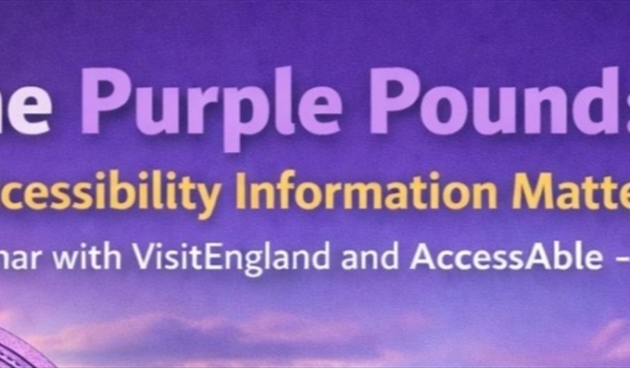 Graphic saying the Purple Pound - Why Accessibility Information matters