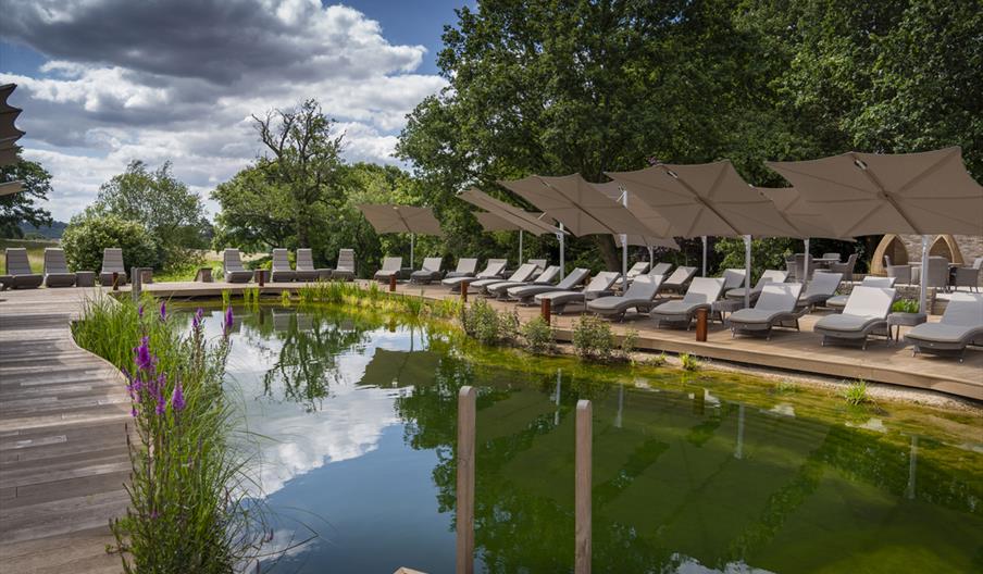 South Lodge spa exterior, pool and loungers