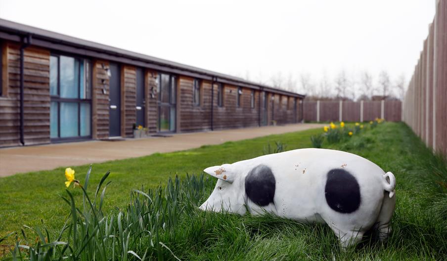 View of Piglets accommodation terrace of 4
