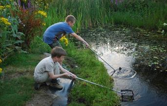 children with nets around a pond