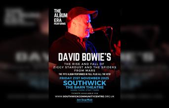 David Bowies The Rise and Fall of Ziggy Stardust performed by The Album Era