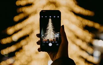 Person taking picture of golden tree lights