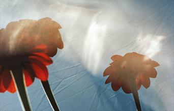 The Craft of the Gardener