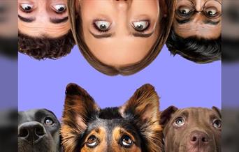 The Psychology of Dogs