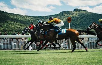 Colorful jockeys in horse race
