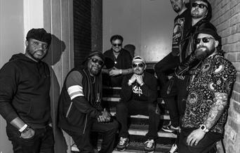 The Dualers