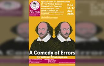 A Comedy of Errors