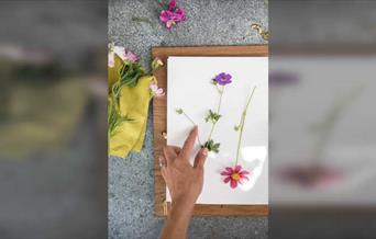 Flower Pressing with JamJar Edit