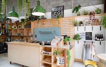 an image of the bar with the beer taps behind. Lots of green plants on shelves around and hanging from the ceiling