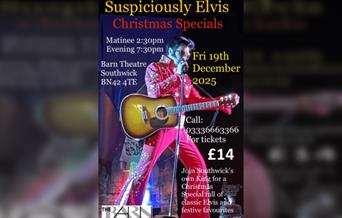 Suspiciously Elvis  Christmas Specials