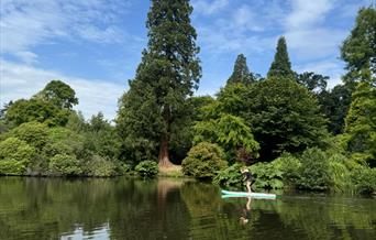 Learn to paddleboard / SUP at Sheffield Park & Garden, National Trust