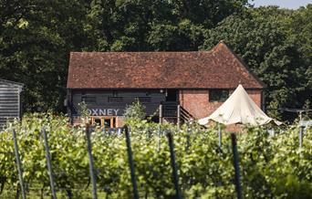 The winery at oxney