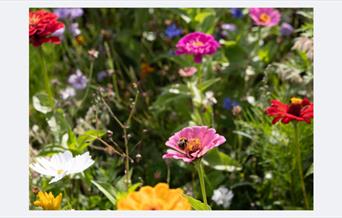 Flora & Fauna Tour