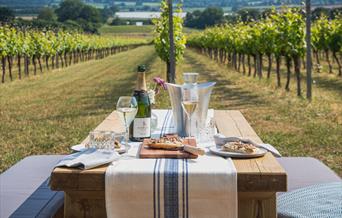Feast in the Vines - A Celebration of Sussex