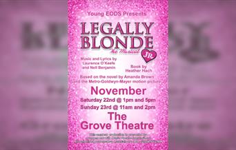 Legally Blonde Jr. The Musical