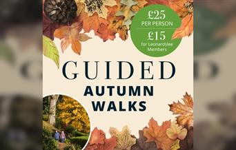 Autumn Guided Walks