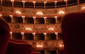 Softly lit theatre with plush red seats