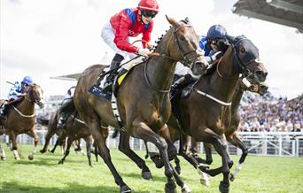 Race Meeting