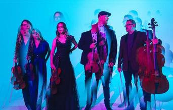 Vitamin String Quartet